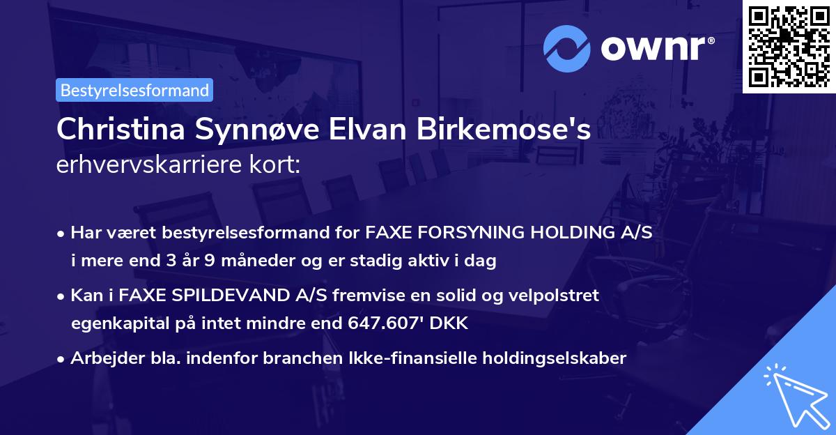 Christina Synnøve Elvan Birkemose's erhvervskarriere kort