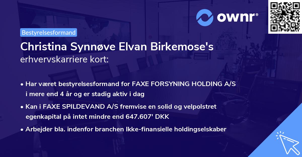 Christina Synnøve Elvan Birkemose's erhvervskarriere kort