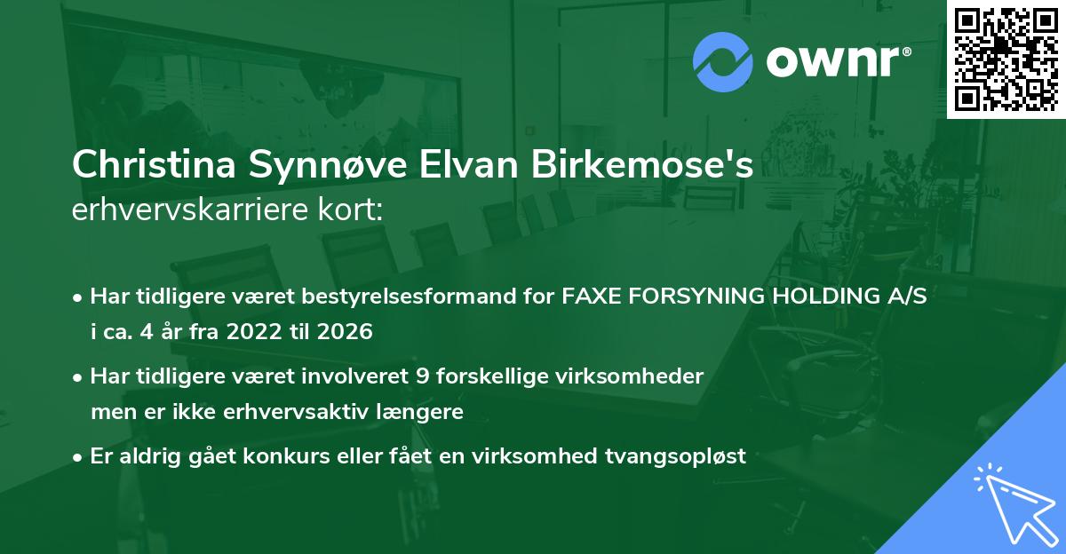 Christina Synnøve Elvan Birkemose's erhvervskarriere kort