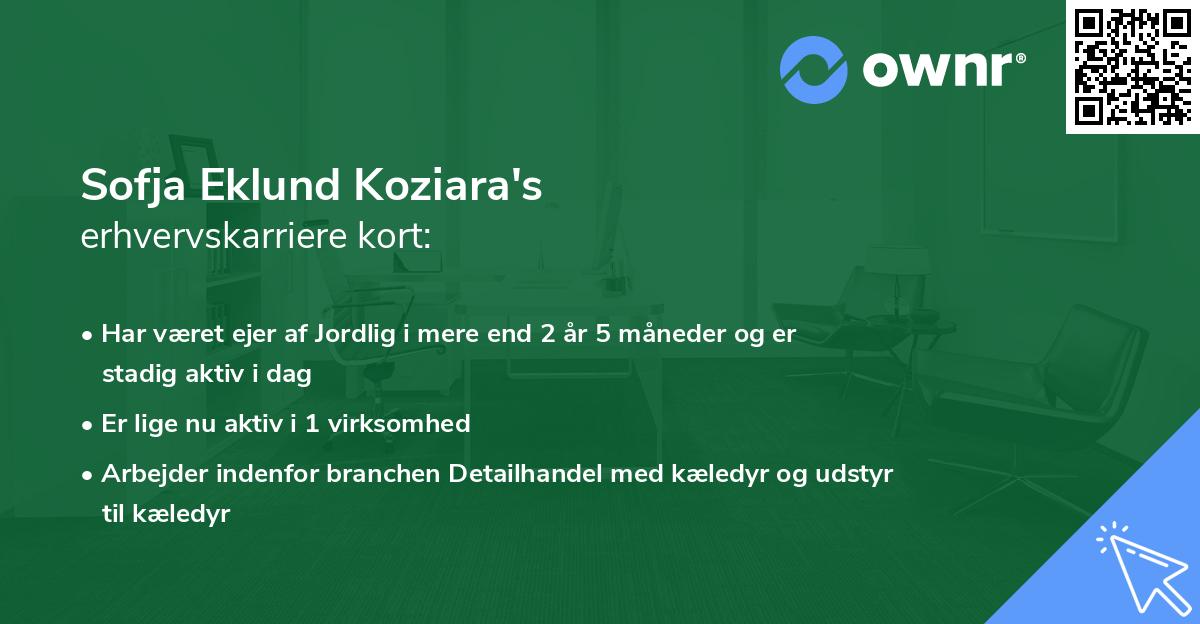 Sofja Eklund Koziara's erhvervskarriere kort