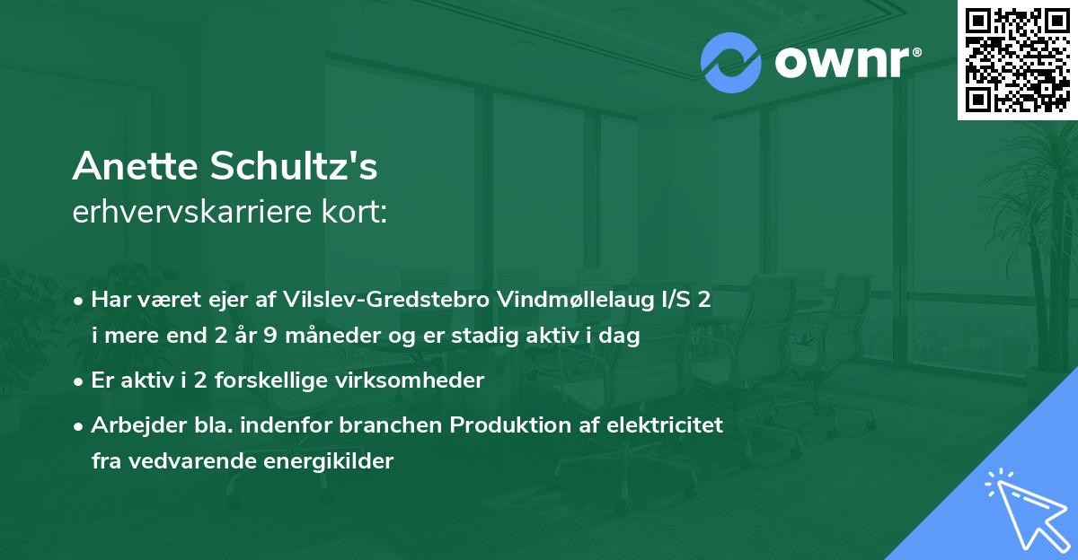 Anette Schultz's erhvervskarriere kort