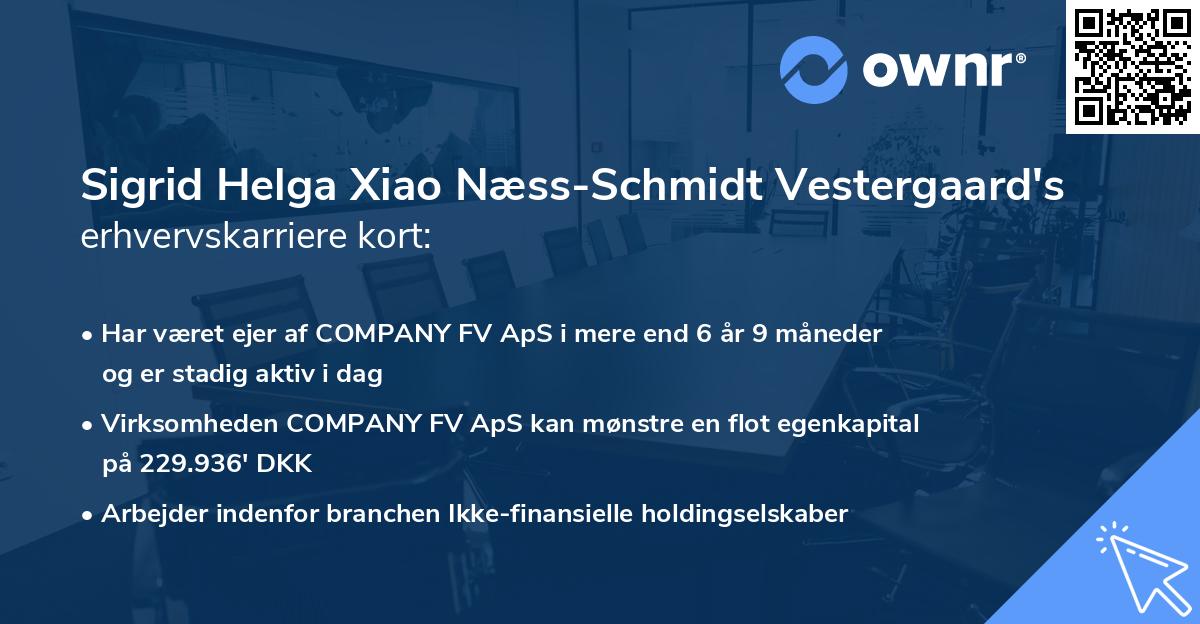 Sigrid Helga Xiao Næss-Schmidt Vestergaard's erhvervskarriere kort