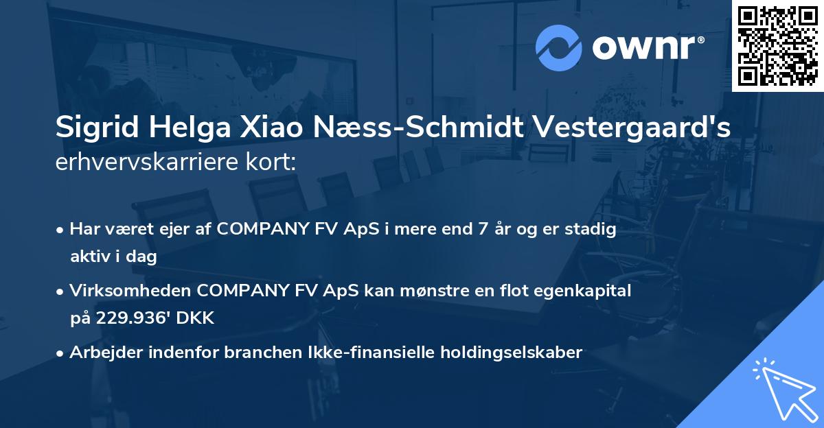 Sigrid Helga Xiao Næss-Schmidt Vestergaard's erhvervskarriere kort
