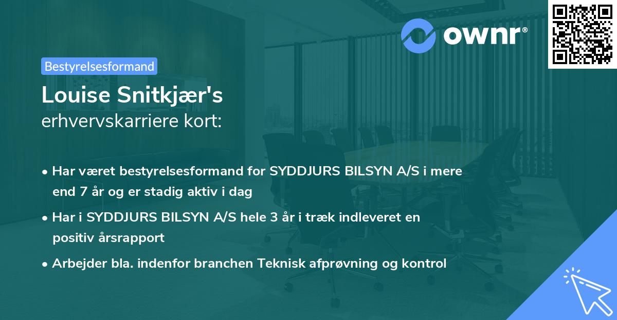 Louise Snitkjær's erhvervskarriere kort