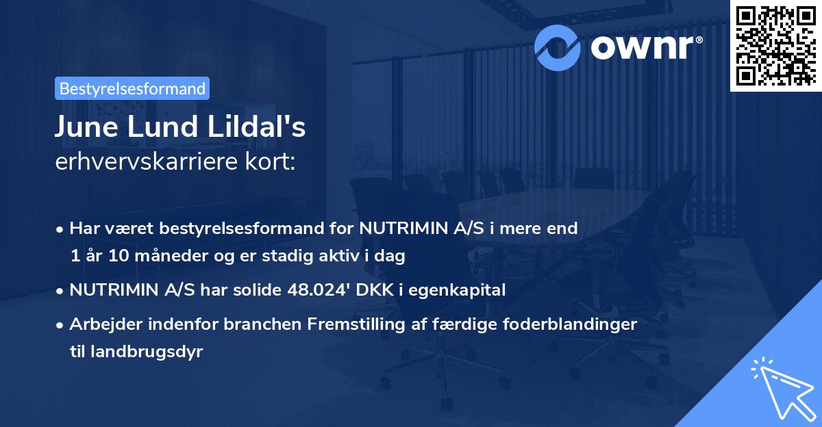 June Lund Lildal's erhvervskarriere kort