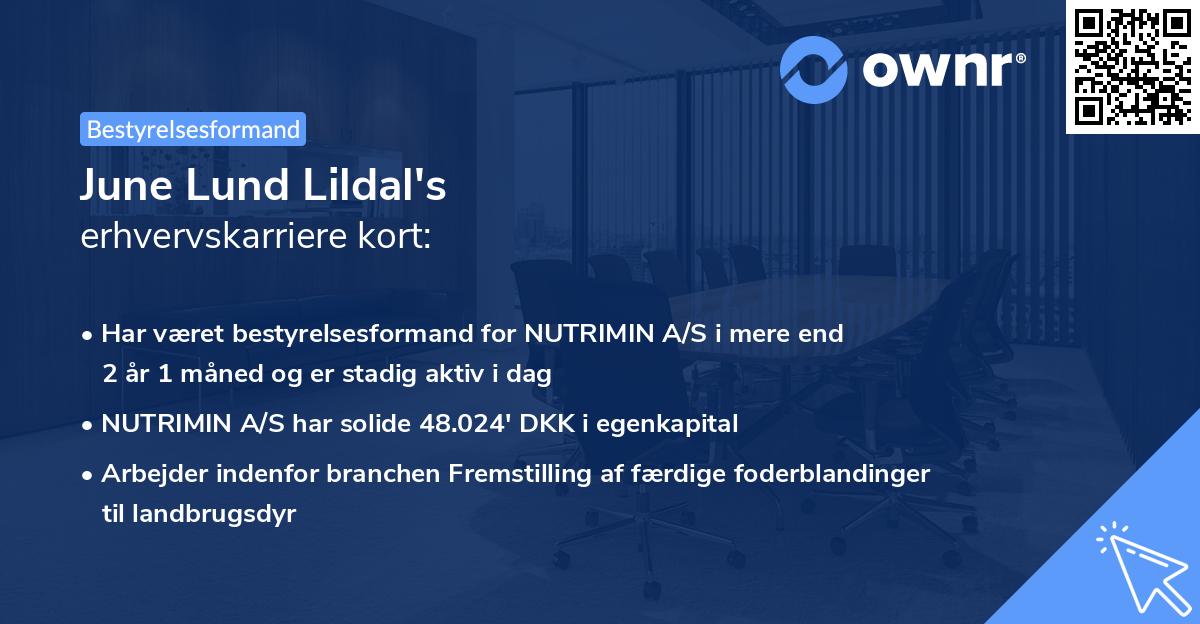 June Lund Lildal's erhvervskarriere kort