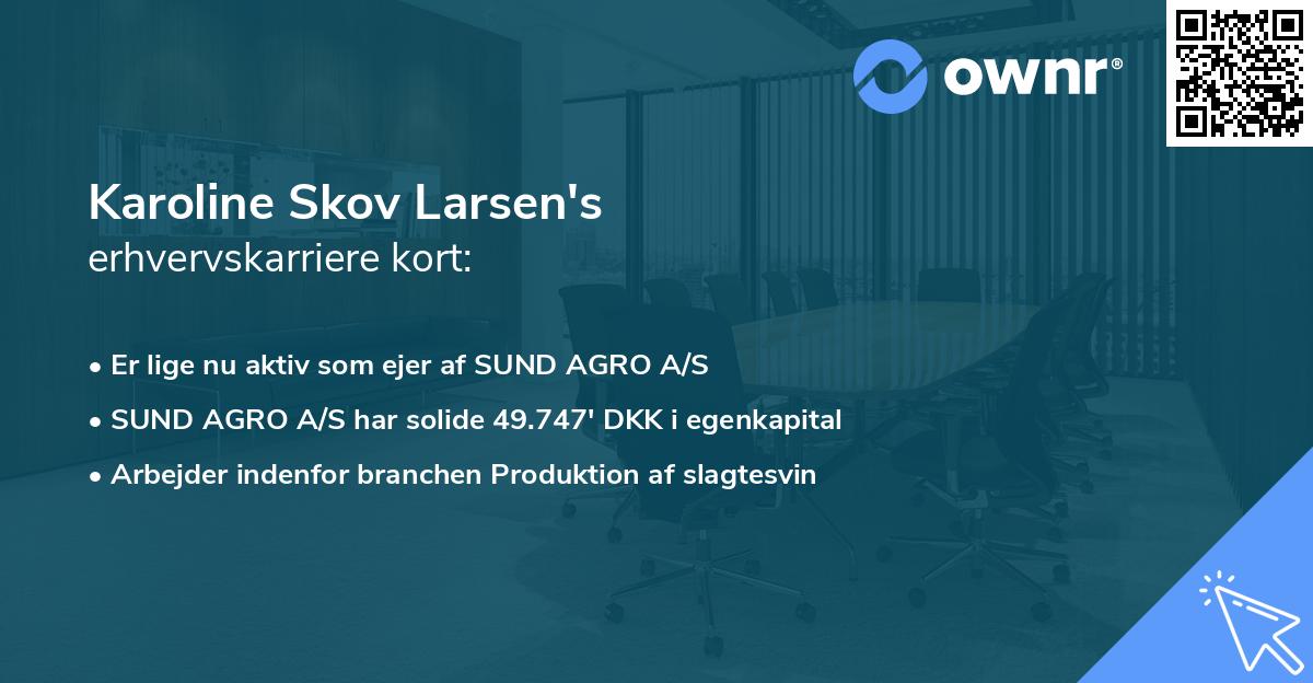 Karoline Skov Larsen's erhvervskarriere kort