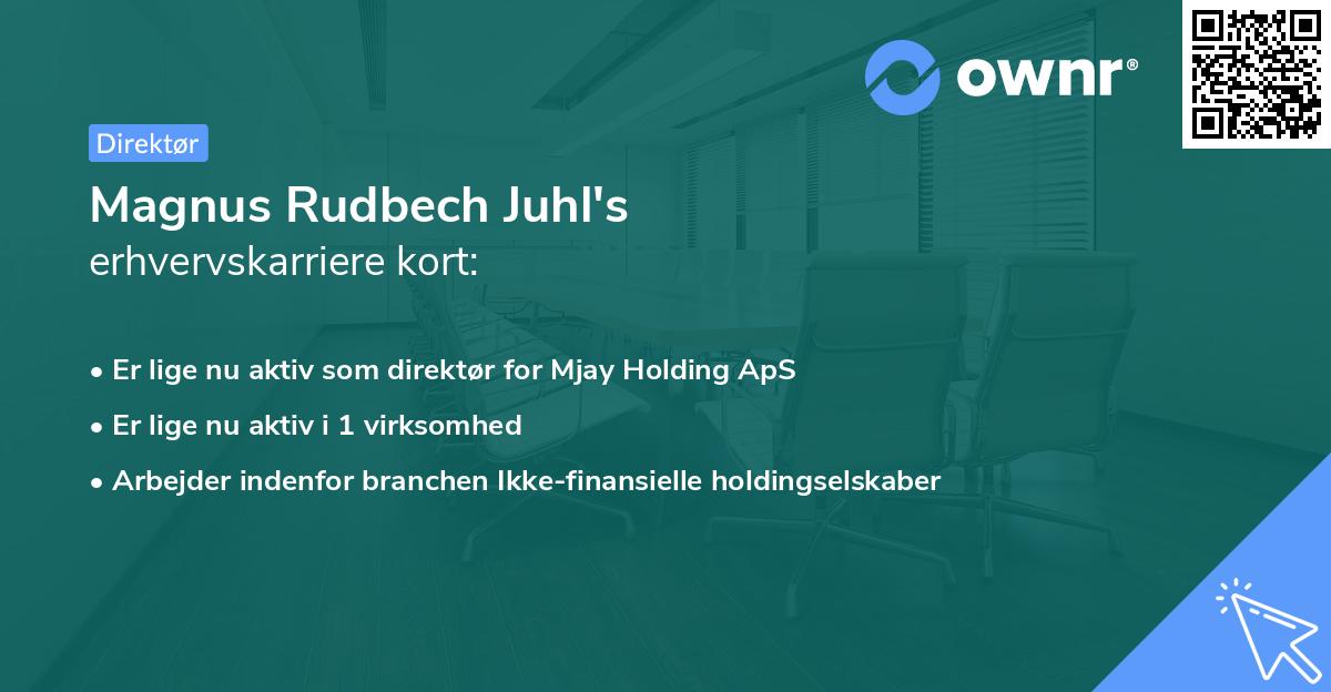 Magnus Rudbech Juhl's erhvervskarriere kort