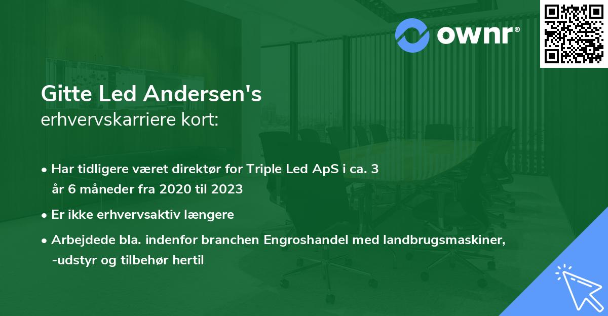 Gitte Led Andersen's erhvervskarriere kort