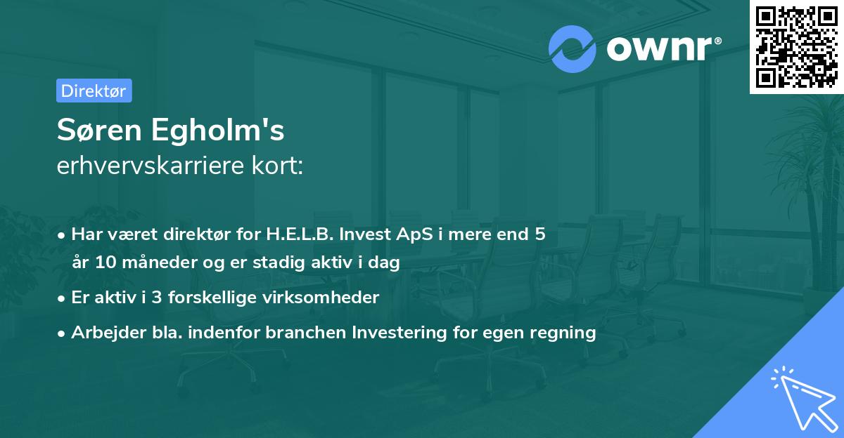 Søren Egholm's erhvervskarriere kort