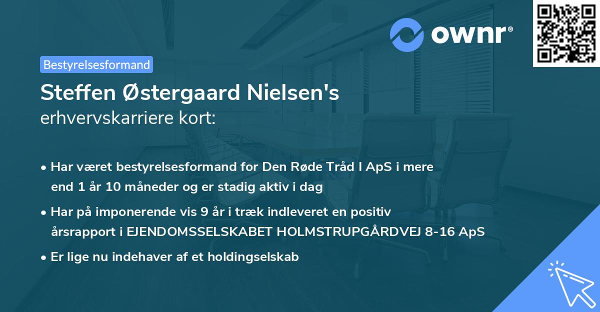 Steffen Østergaard Nielsen's erhvervskarriere kort