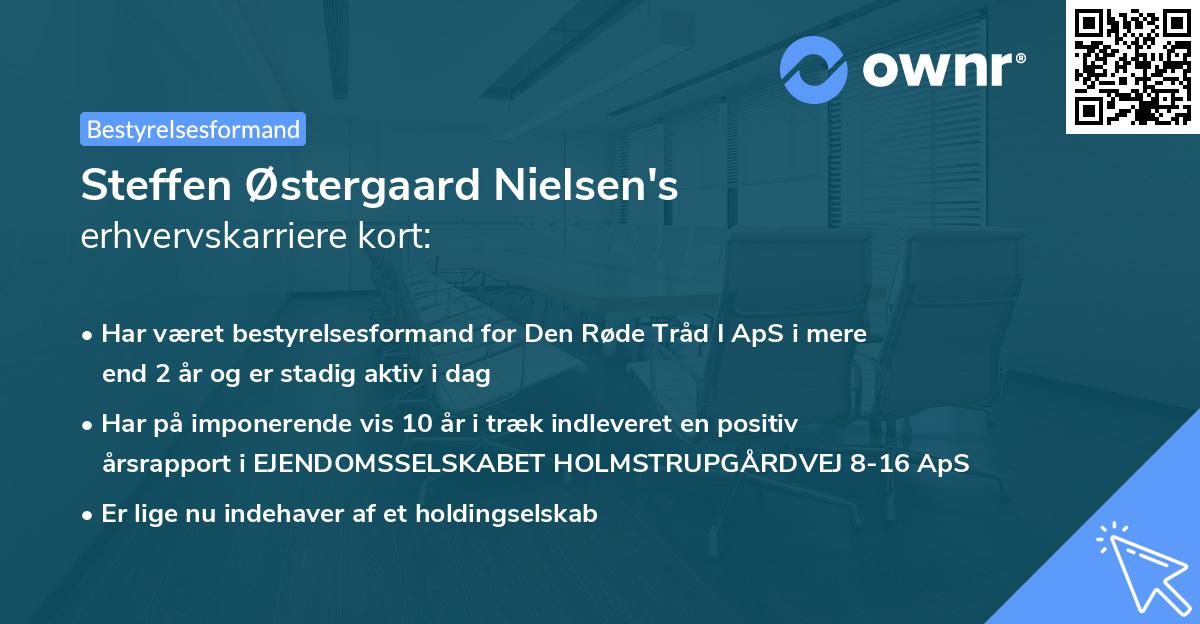 Steffen Østergaard Nielsen's erhvervskarriere kort