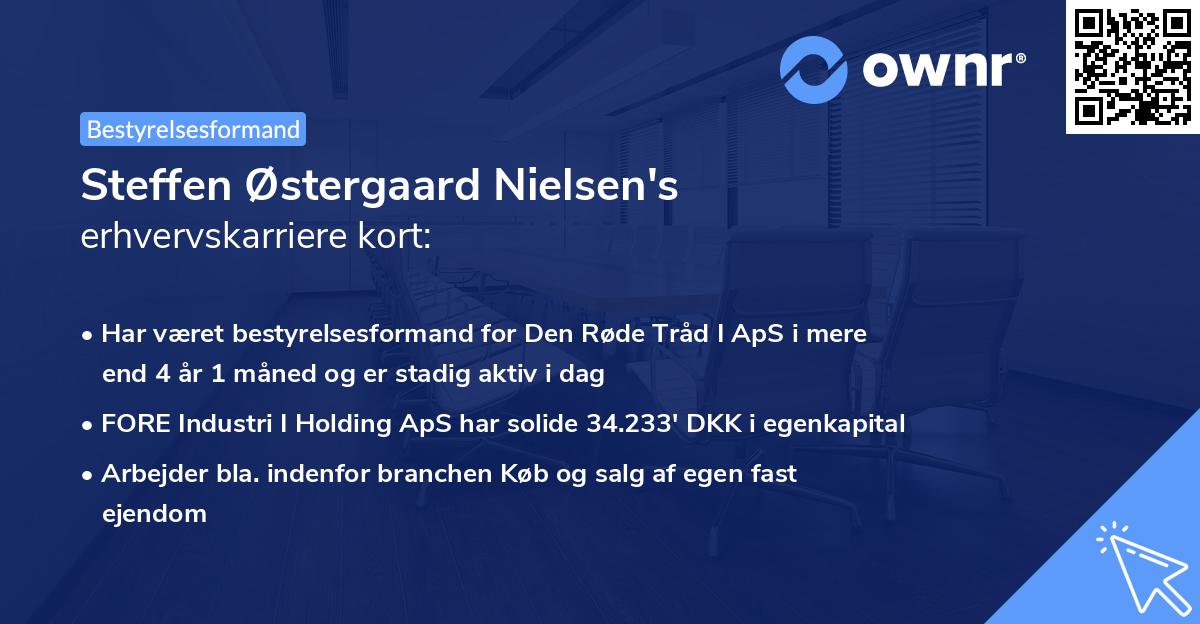 Steffen Østergaard Nielsen's erhvervskarriere kort