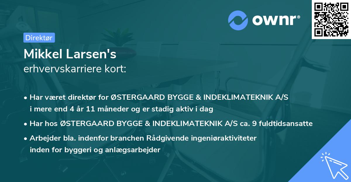 Mikkel Larsen's erhvervskarriere kort