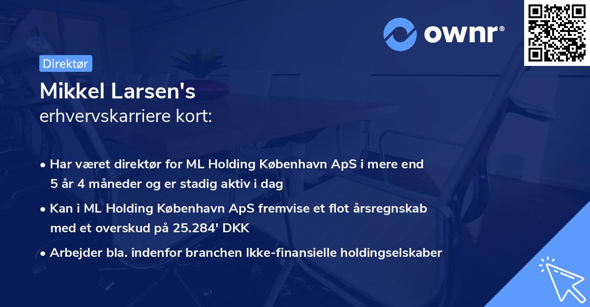Mikkel Larsen's erhvervskarriere kort