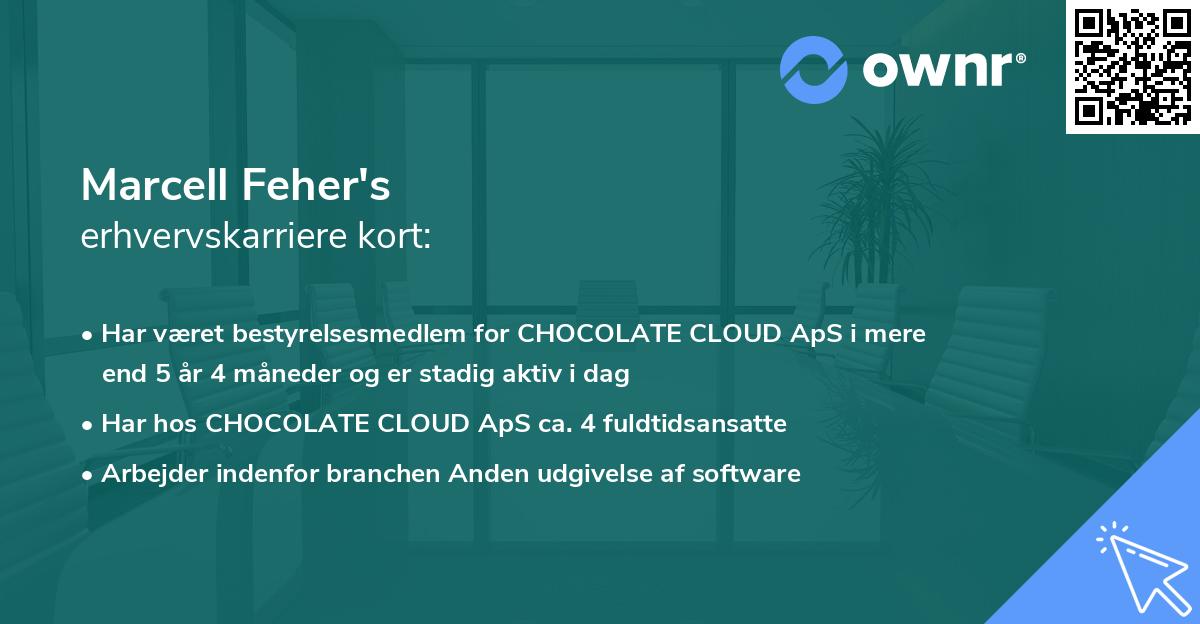Marcell Feher's erhvervskarriere kort