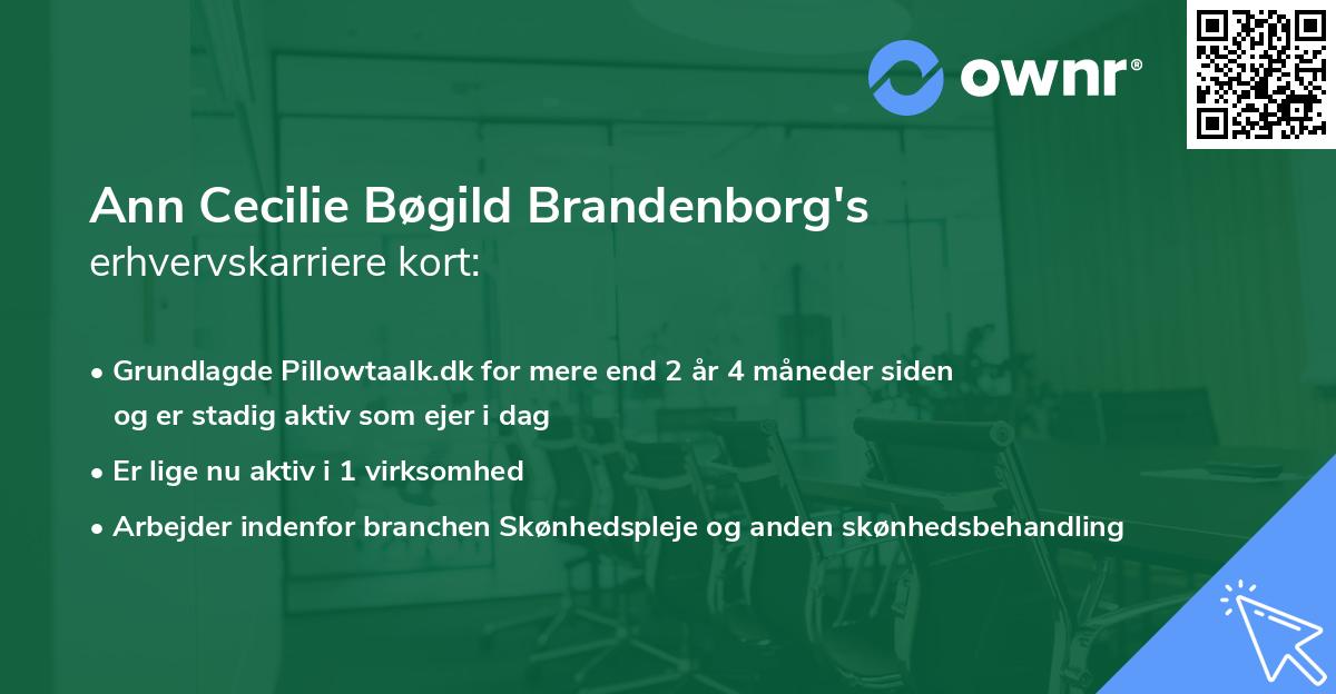 Ann Cecilie Bøgild Brandenborg's erhvervskarriere kort