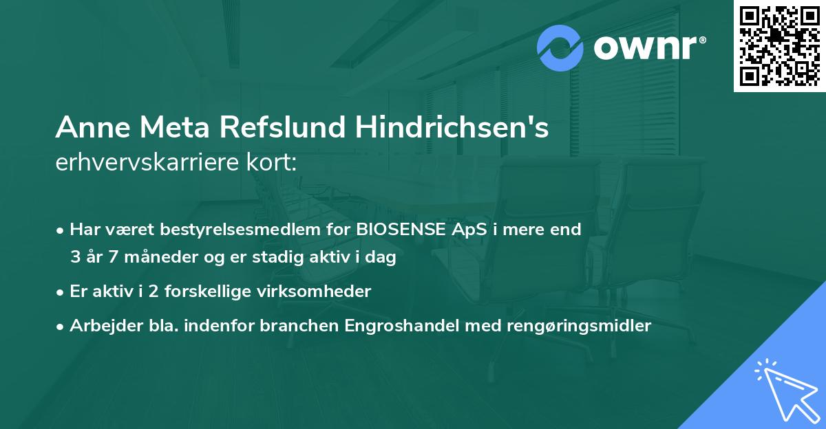 Anne Meta Refslund Hindrichsen's erhvervskarriere kort
