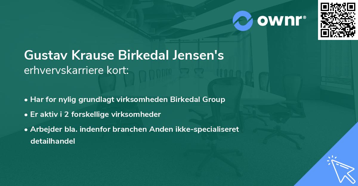 Gustav Krause Birkedal Jensen's erhvervskarriere kort