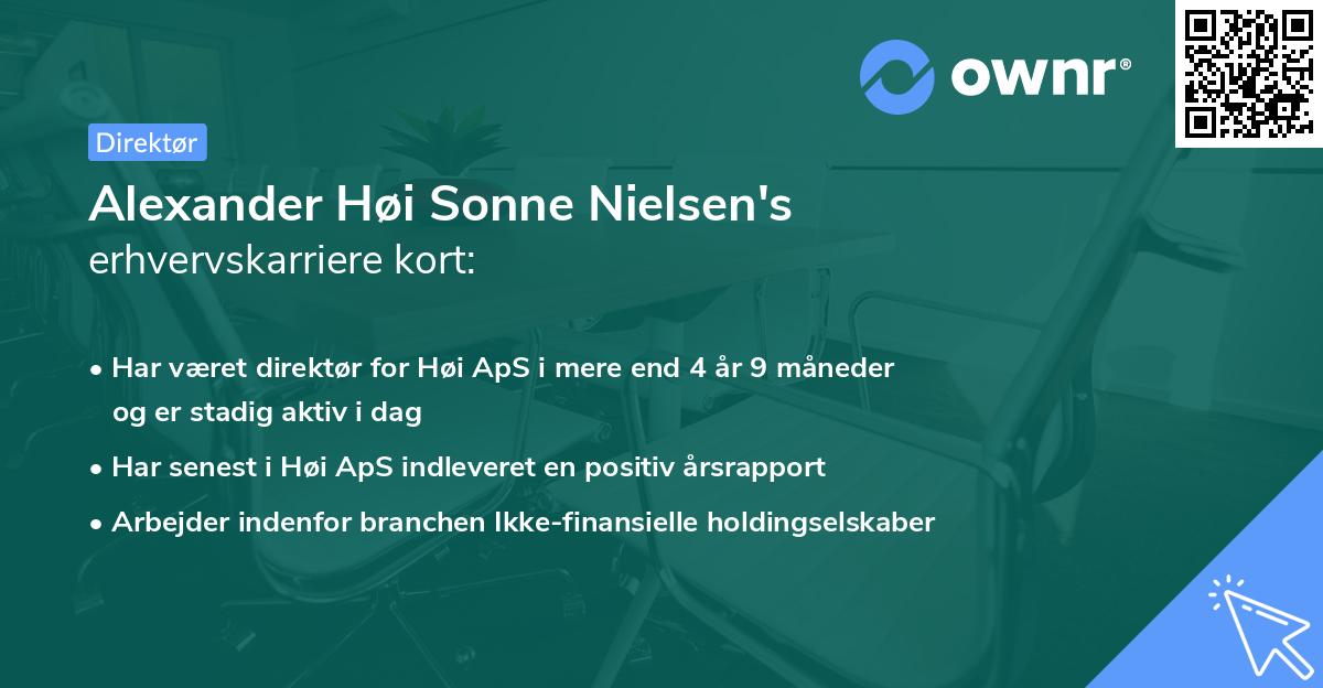 Alexander Høi Sonne Nielsen's erhvervskarriere kort