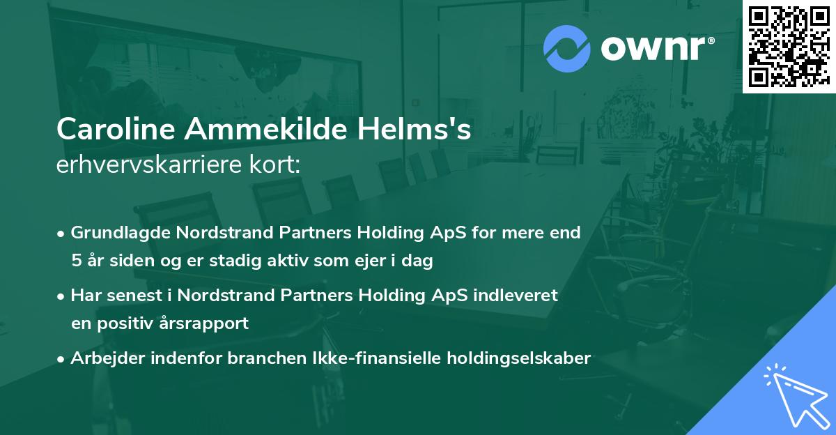 Caroline Ammekilde Helms's erhvervskarriere kort