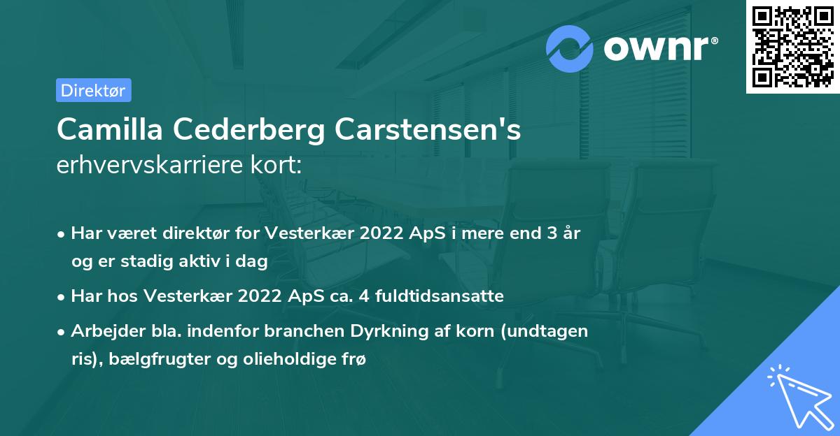 Camilla Cederberg Carstensen's erhvervskarriere kort