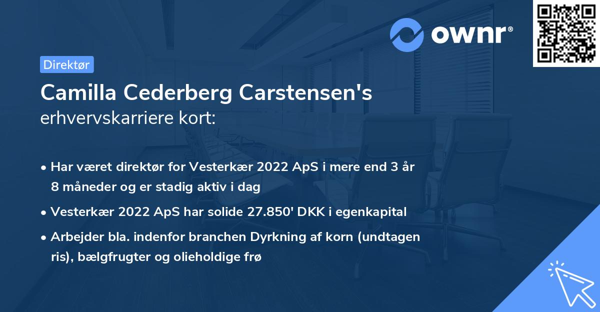 Camilla Cederberg Carstensen's erhvervskarriere kort