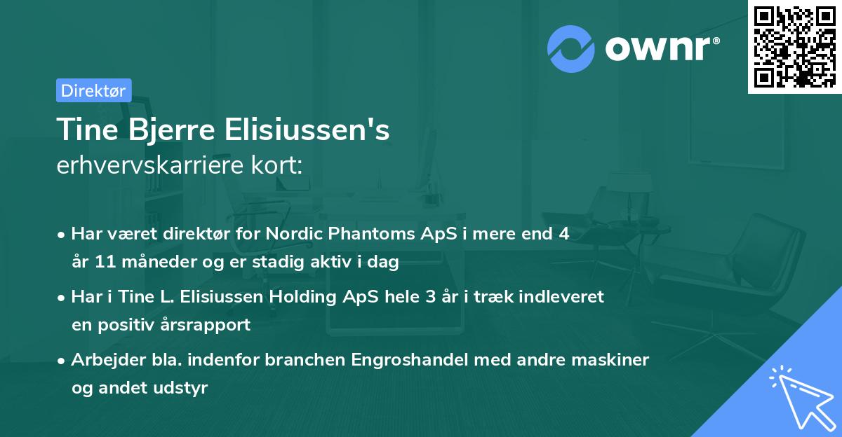 Tine Bjerre Elisiussen's erhvervskarriere kort