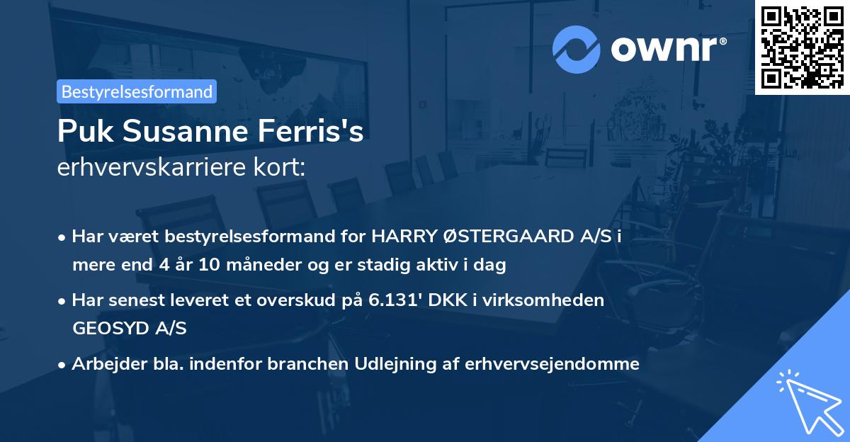 Puk Susanne Ferris's erhvervskarriere kort