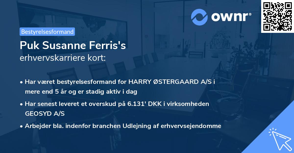 Puk Susanne Ferris's erhvervskarriere kort