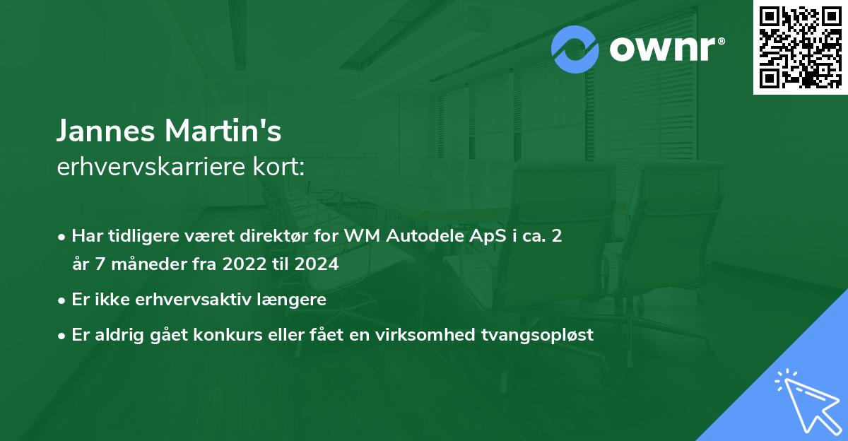Jannes Martin's erhvervskarriere kort