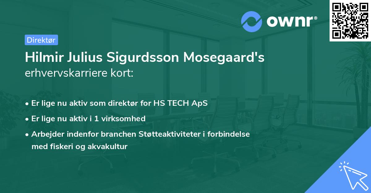 Hilmir Julius Sigurdsson Mosegaard's erhvervskarriere kort