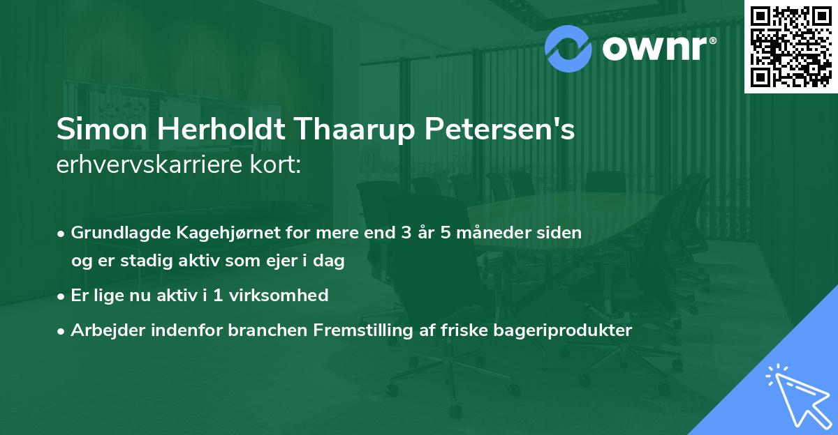 Simon Herholdt Thaarup Petersen's erhvervskarriere kort
