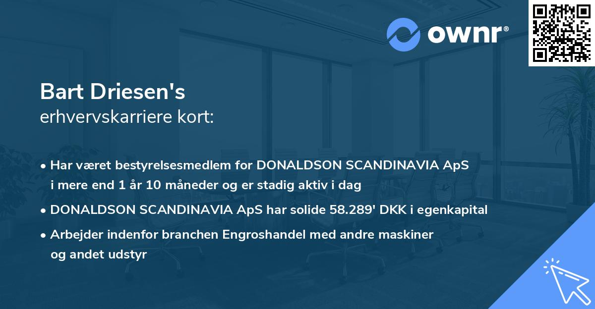 Bart Driesen's erhvervskarriere kort