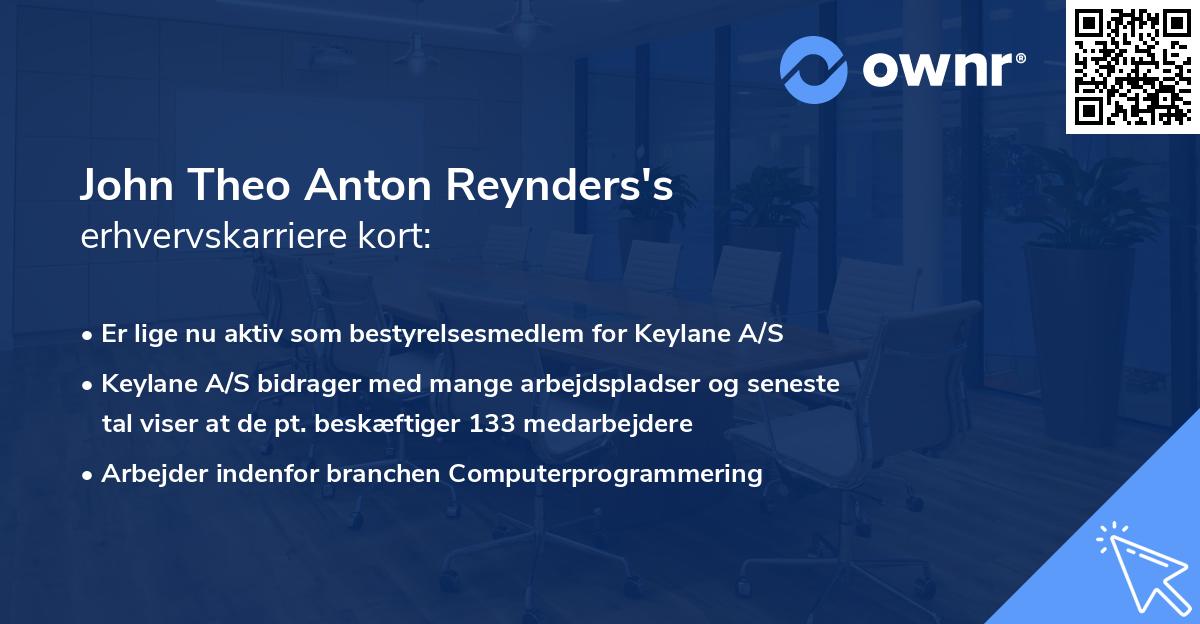 John Theo Anton Reynders's erhvervskarriere kort