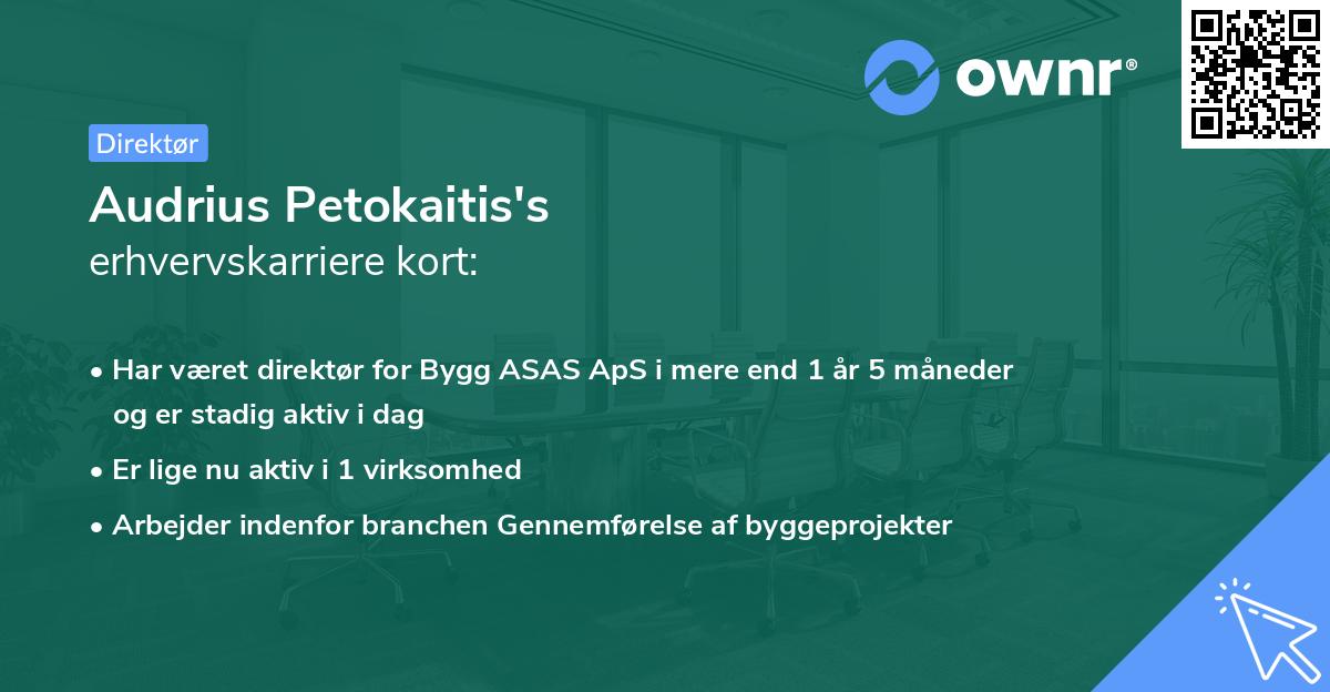 Audrius Petokaitis's erhvervskarriere kort