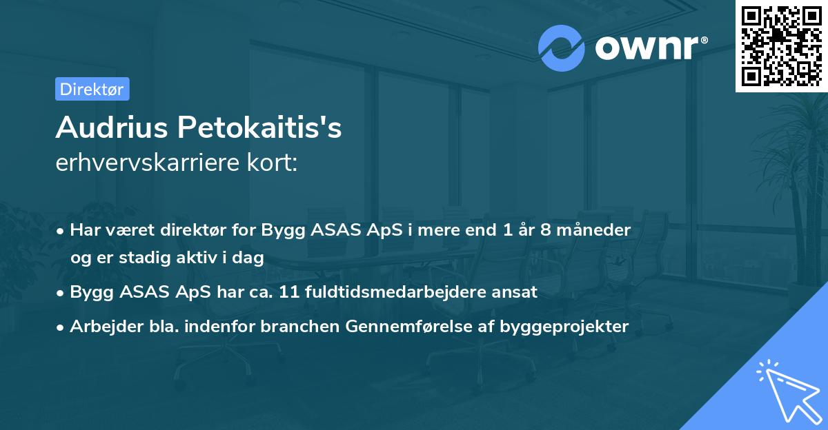 Audrius Petokaitis's erhvervskarriere kort