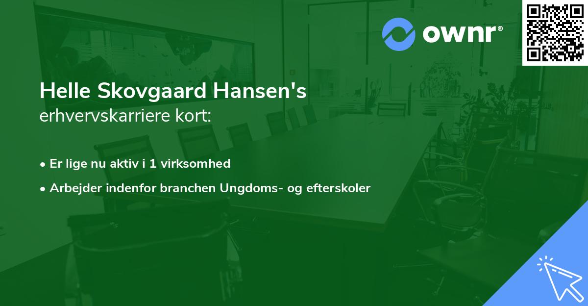 Helle Skovgaard Hansen's erhvervskarriere kort