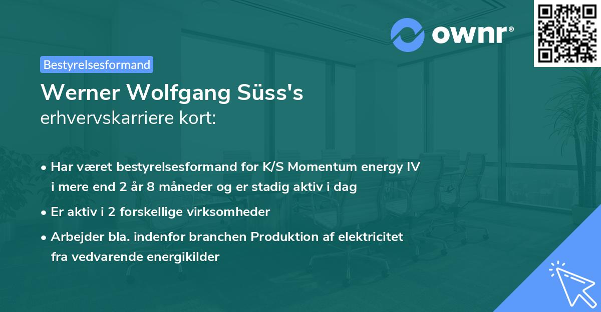 Werner Wolfgang Süss's erhvervskarriere kort