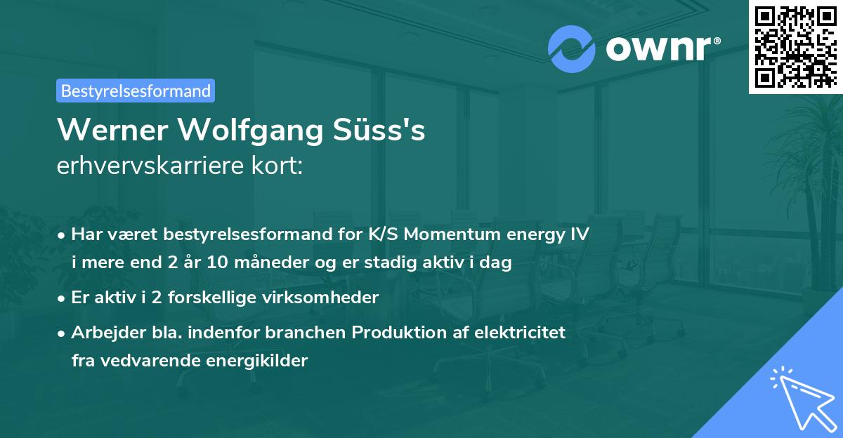 Werner Wolfgang Süss's erhvervskarriere kort