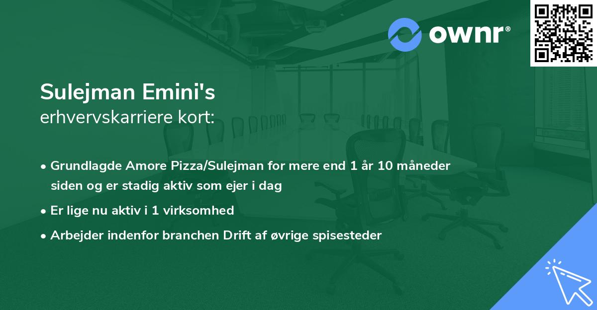 Sulejman Emini's erhvervskarriere kort