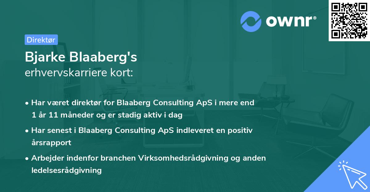 Bjarke Blaaberg's erhvervskarriere kort