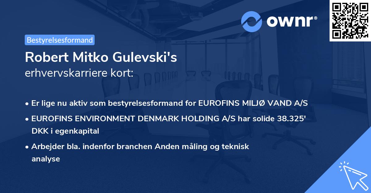Robert Mitko Gulevski's erhvervskarriere kort