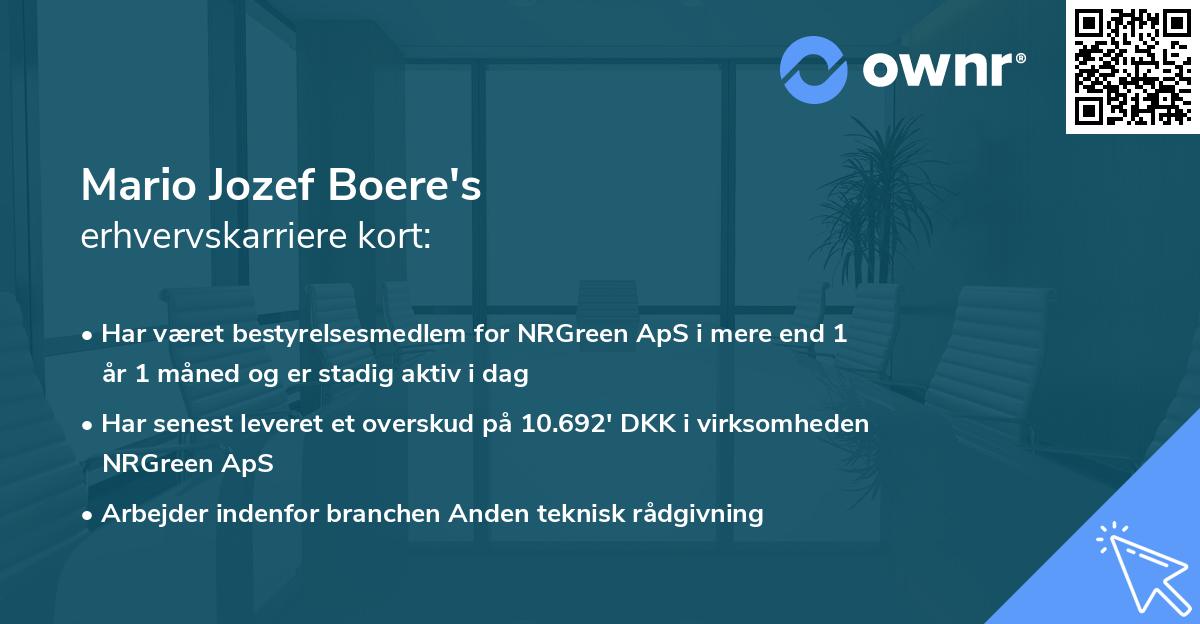 Mario Jozef Boere's erhvervskarriere kort