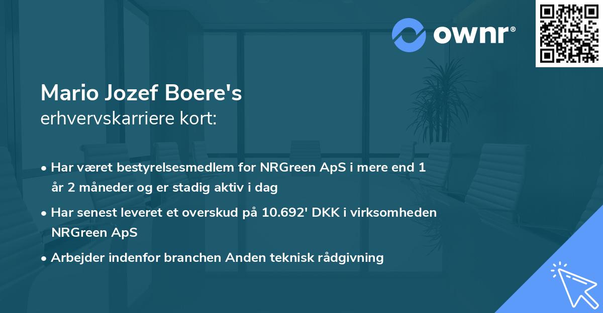 Mario Jozef Boere's erhvervskarriere kort