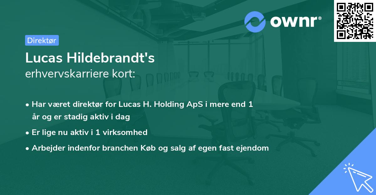 Lucas Hildebrandt's erhvervskarriere kort