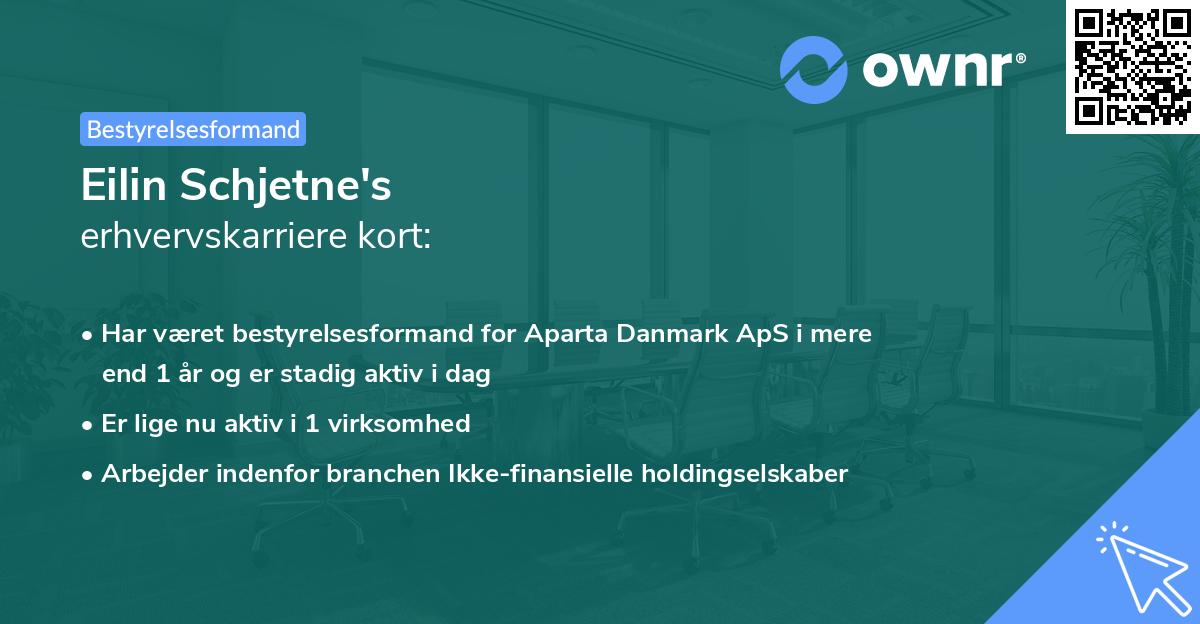 Eilin Schjetne's erhvervskarriere kort