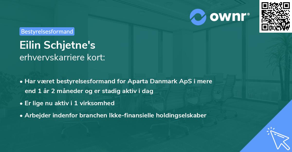 Eilin Schjetne's erhvervskarriere kort