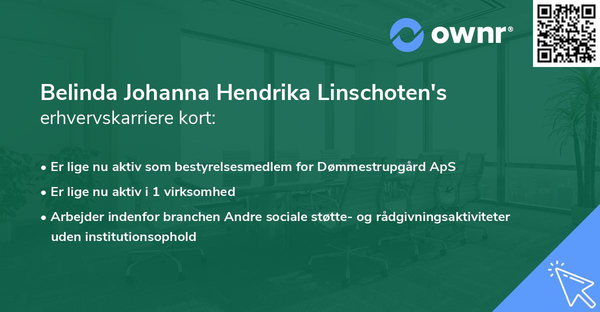 Belinda Johanna Hendrika Linschoten's erhvervskarriere kort