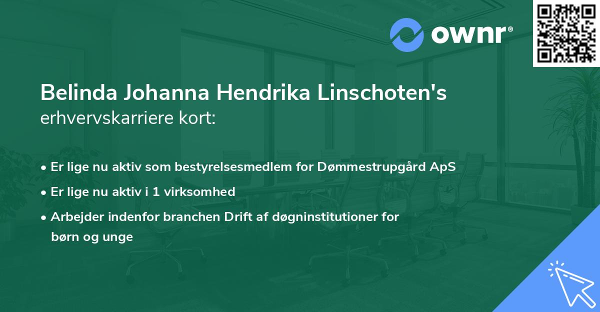 Belinda Johanna Hendrika Linschoten's erhvervskarriere kort